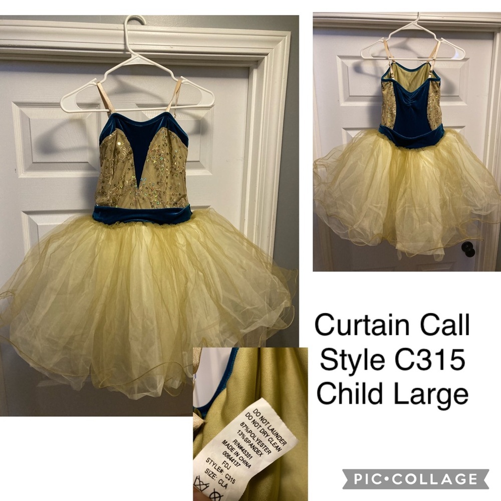 Curtain Call Large Child Ballet Costume